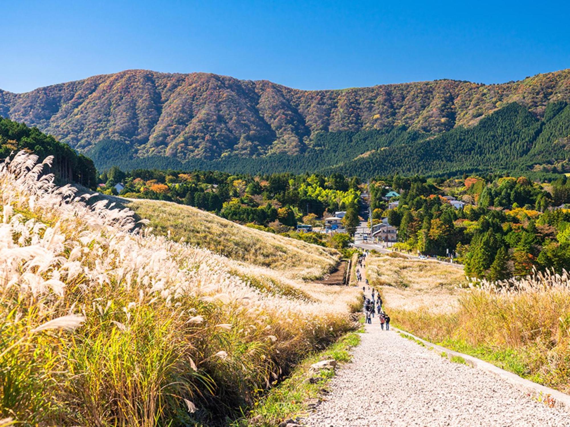 Hotel Shikinoyakata Hakone Ashinoko Ngoại thất bức ảnh